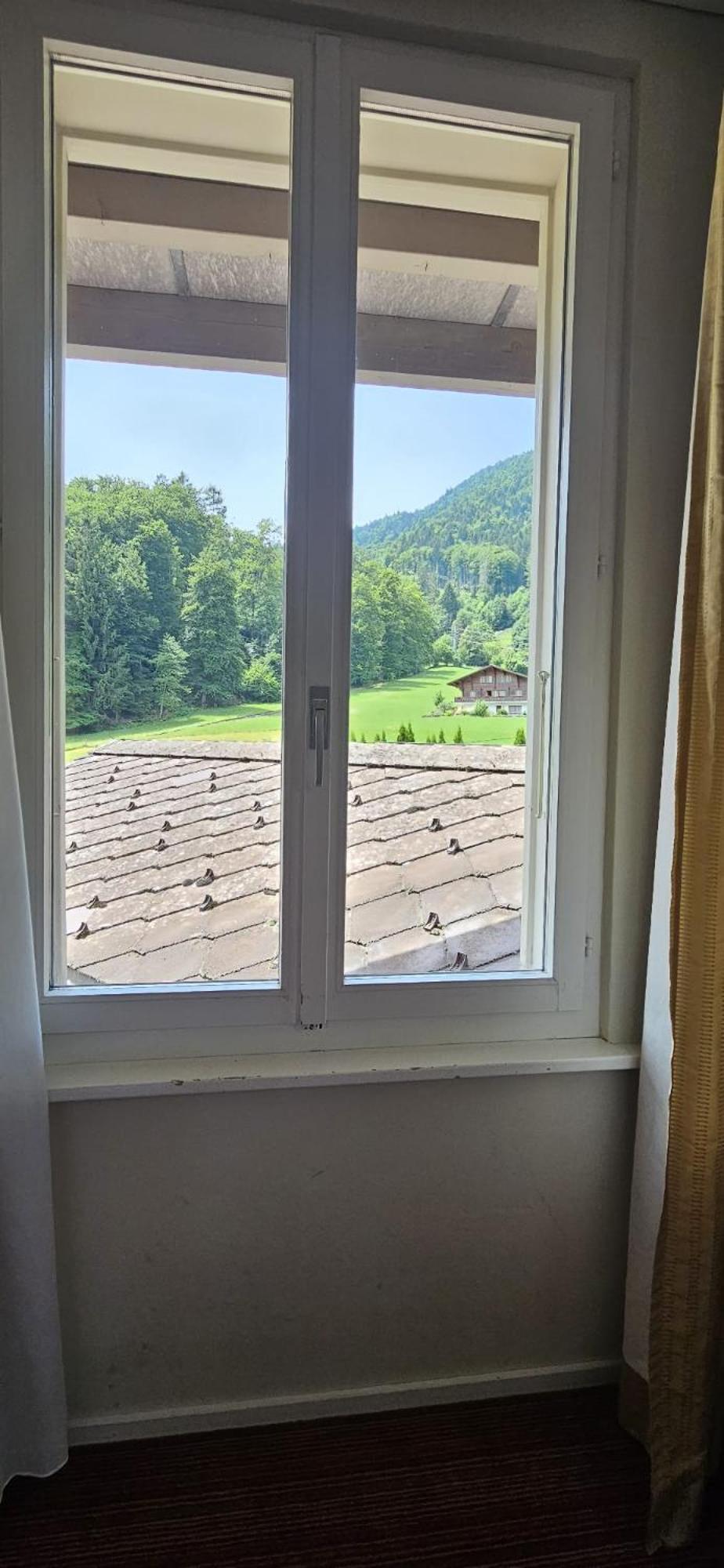 Berghof Amaranth 3* Wilderswil