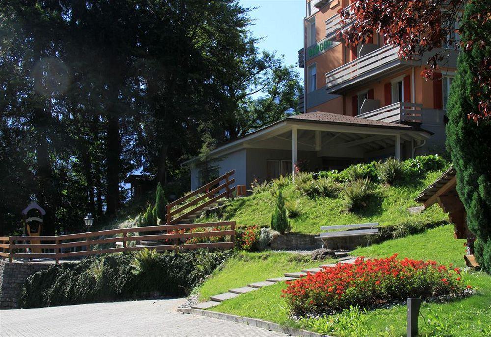 Hotel Berghof Amaranth 3*